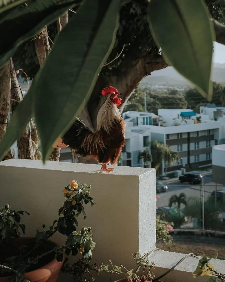 Bed and Breakfast Villa Vassallo Ponce Πουέρτο Ρίκο